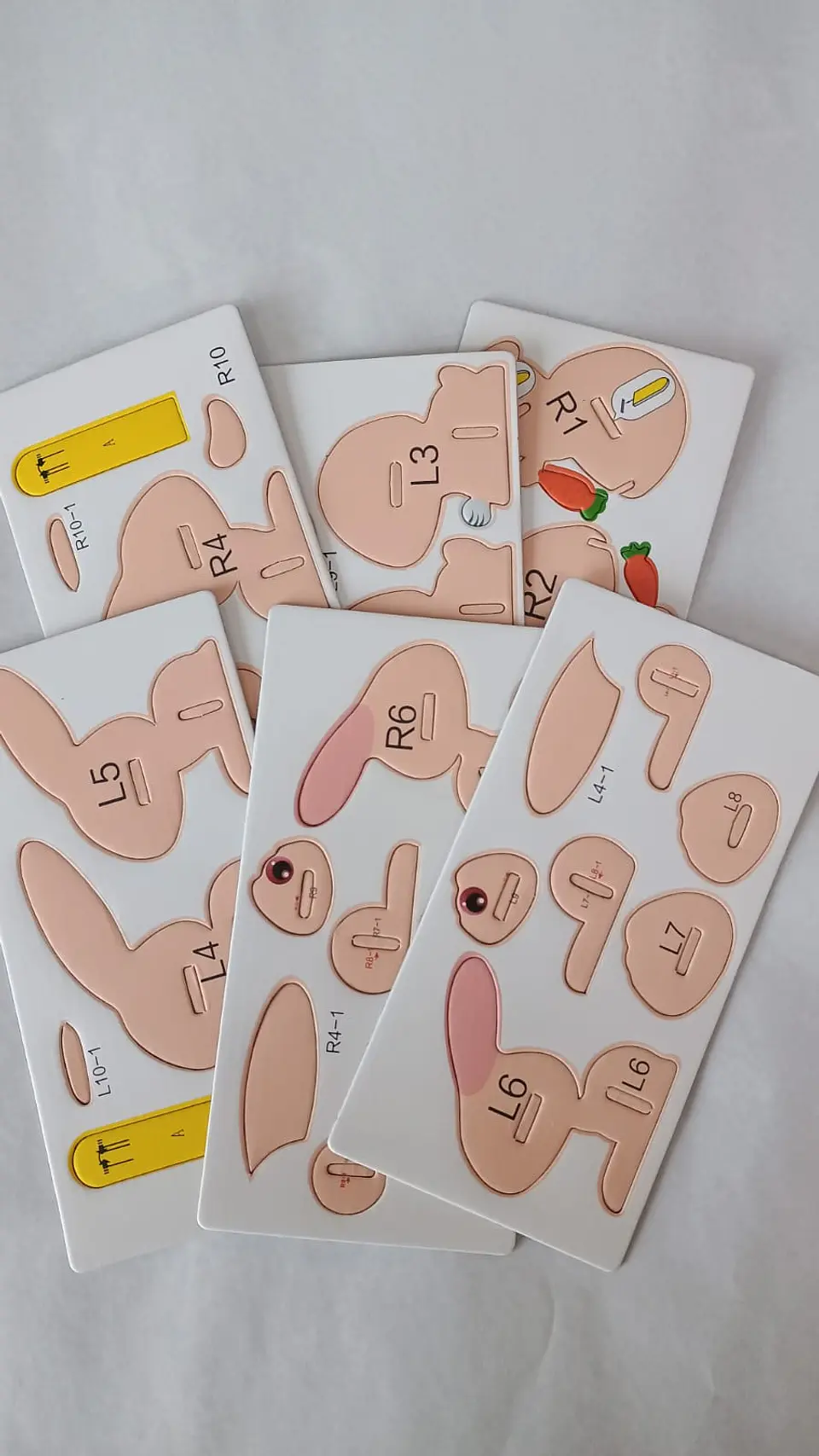 Modelo 3D de Cartón Conejo para Armar – Decoración DIY 2