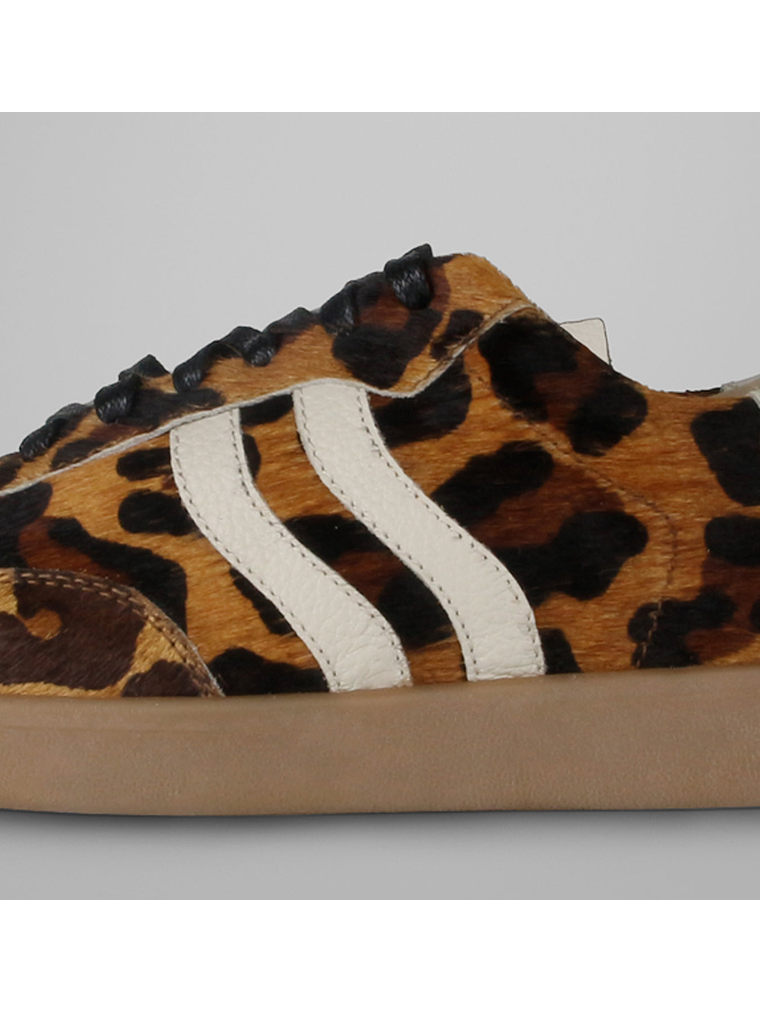 ZAPATILLA TAYLOR3 - LEOPARDO 3