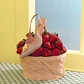 STRAWBERRY PUMP SLINGBACK CAFÉ - Miniatura 2