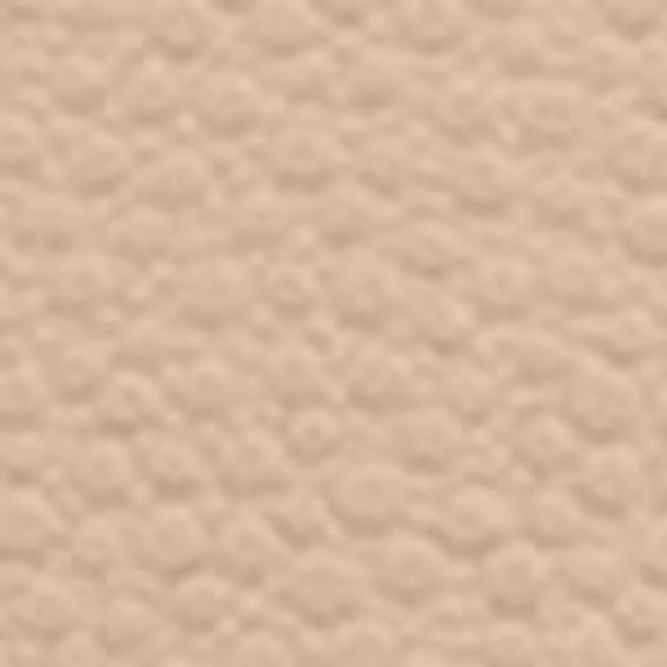 PACK CORREAS 2.5CM (2) 7