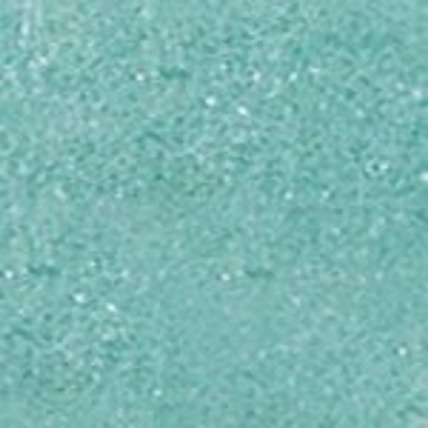 PACK CORREAS 2.5CM (2) 9