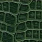 PACK CORREAS 2.5CM (2) - Miniatura 24