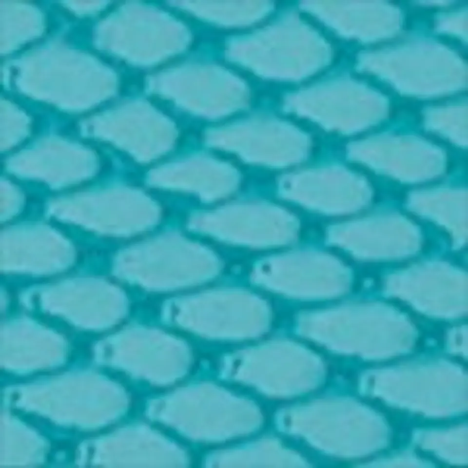 PACK CORREAS 2.5CM (2) 30