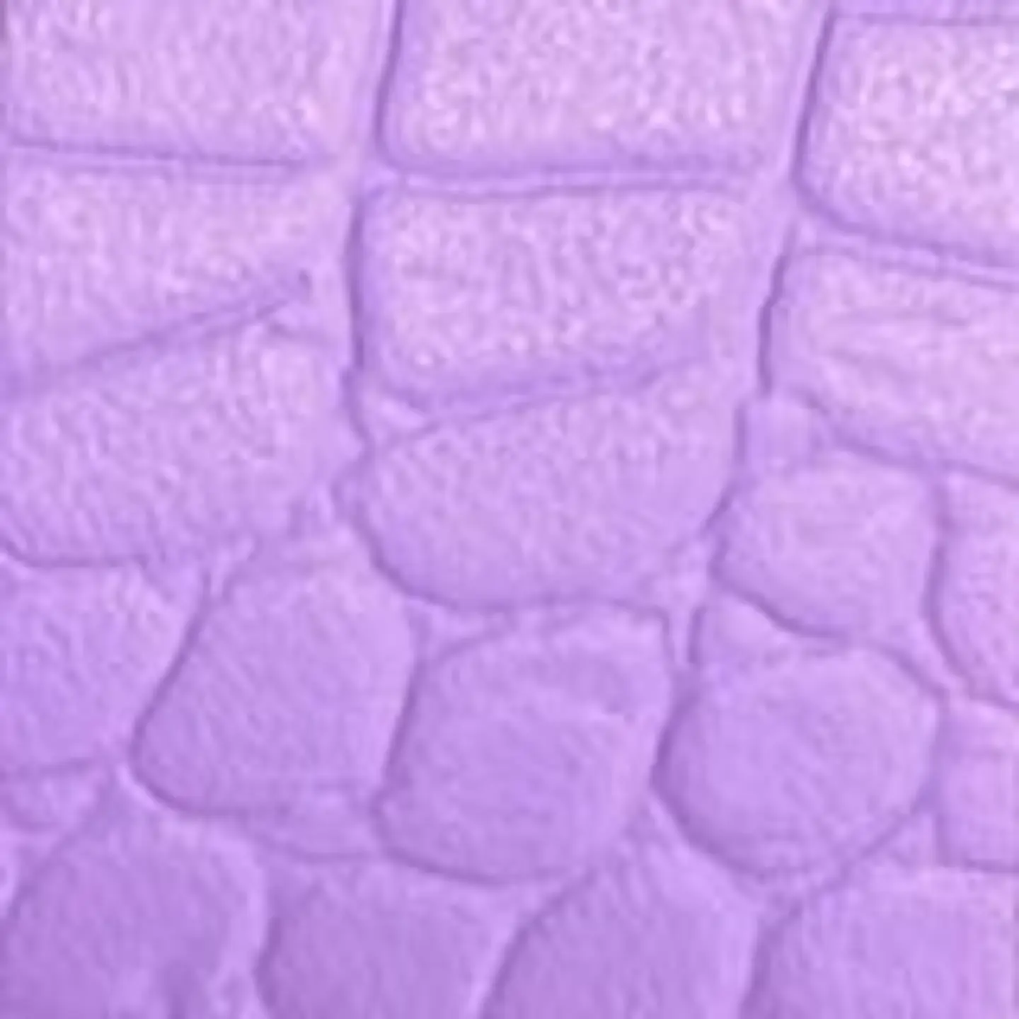 PACK CORREAS 2.5CM (2) 33