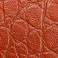 PACK CORREAS 2.5CM (2) - Miniatura 39