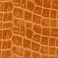 PACK CORREAS 2.5CM (3) - Miniatura 27