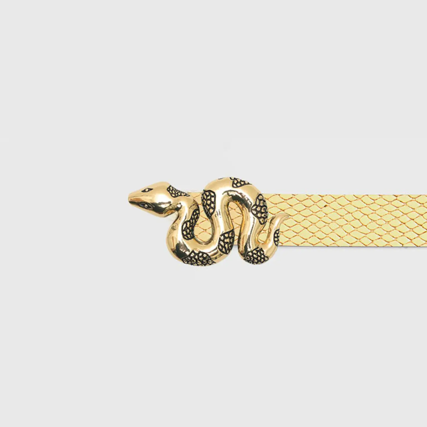 CORREA SERPIENTE DORADO 5