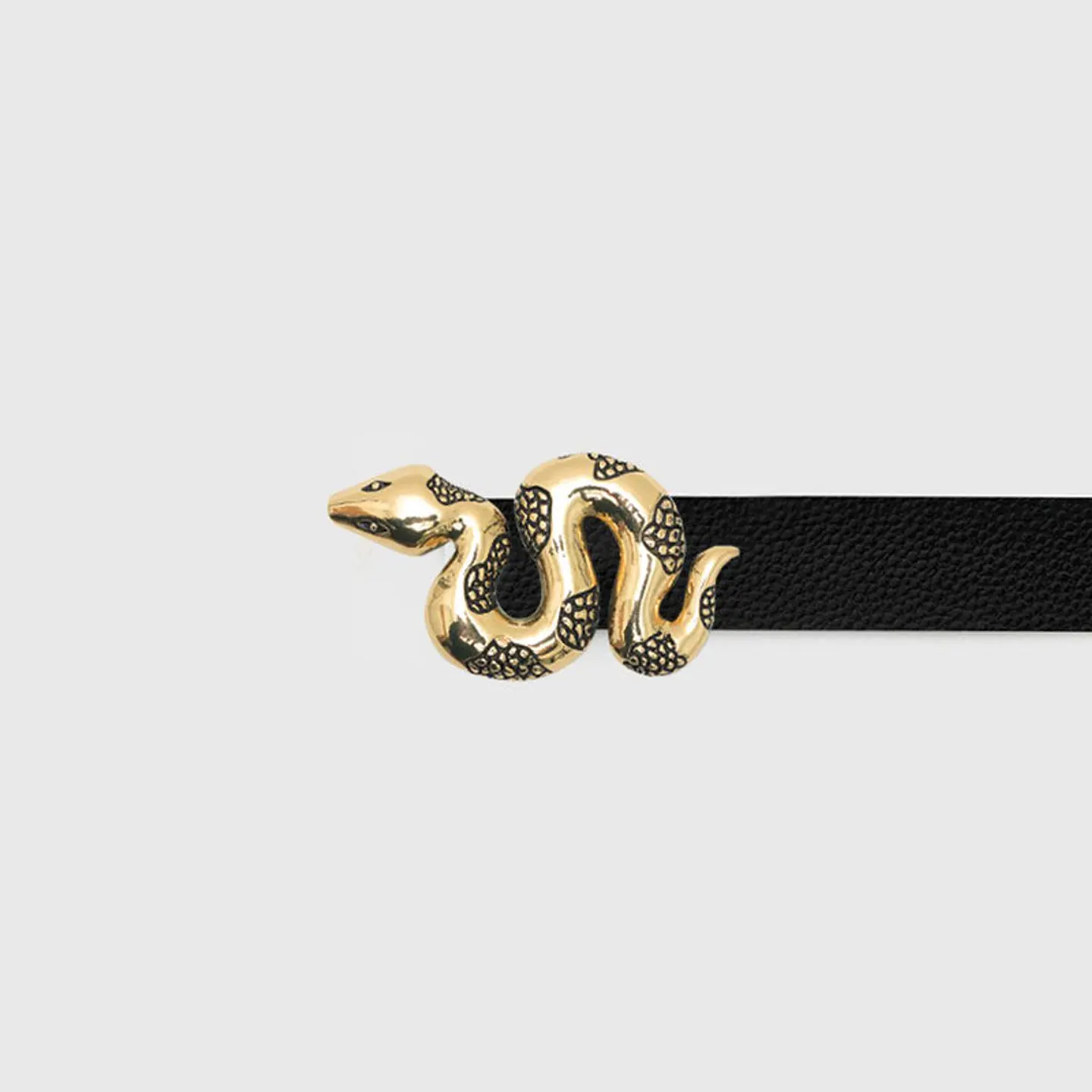 CORREA SERPIENTE DORADO 10