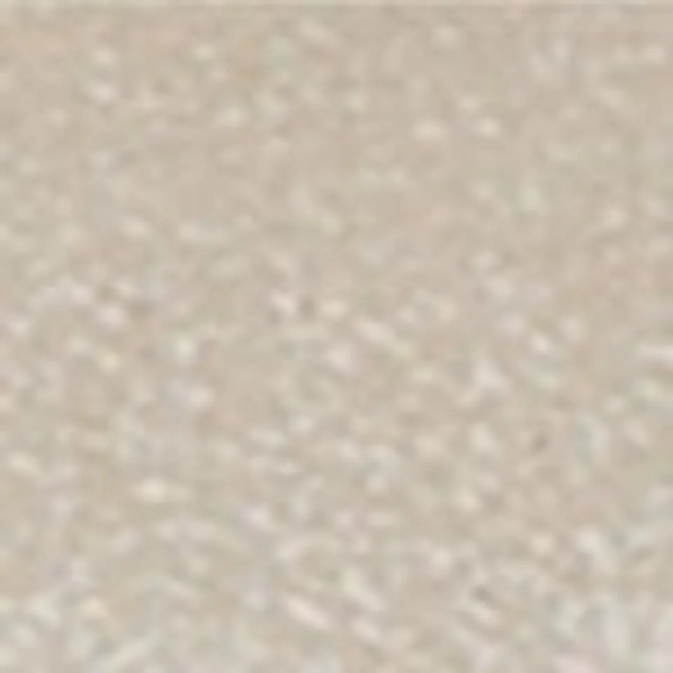 CINTURÓN 5CM (1) 22