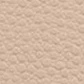 CINTURÓN 5CM (2) - Miniatura 7