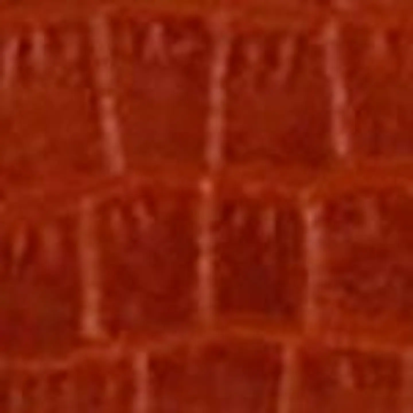 CORREA 2.5CM (2) 25