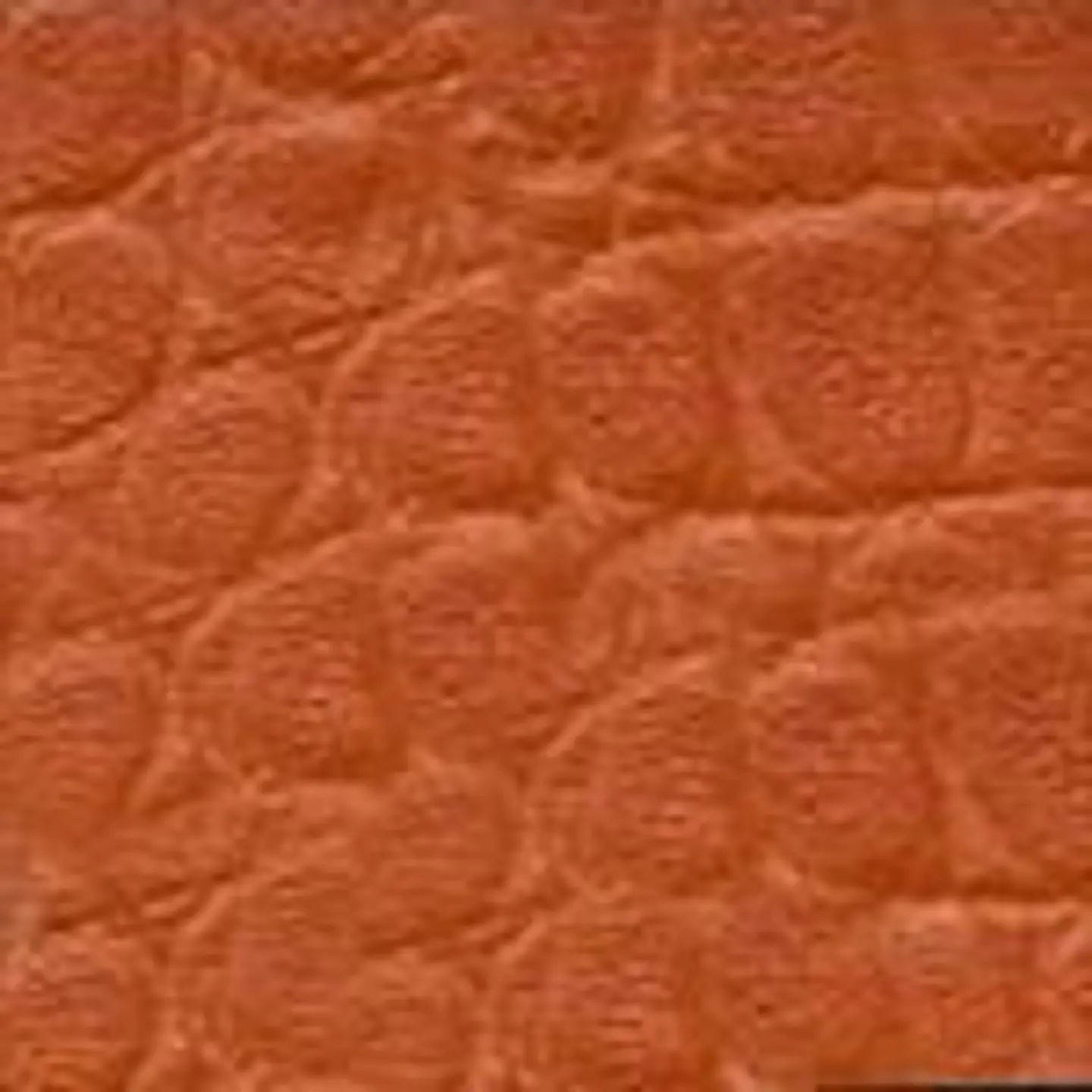 CORREA 2.5CM (2) 28