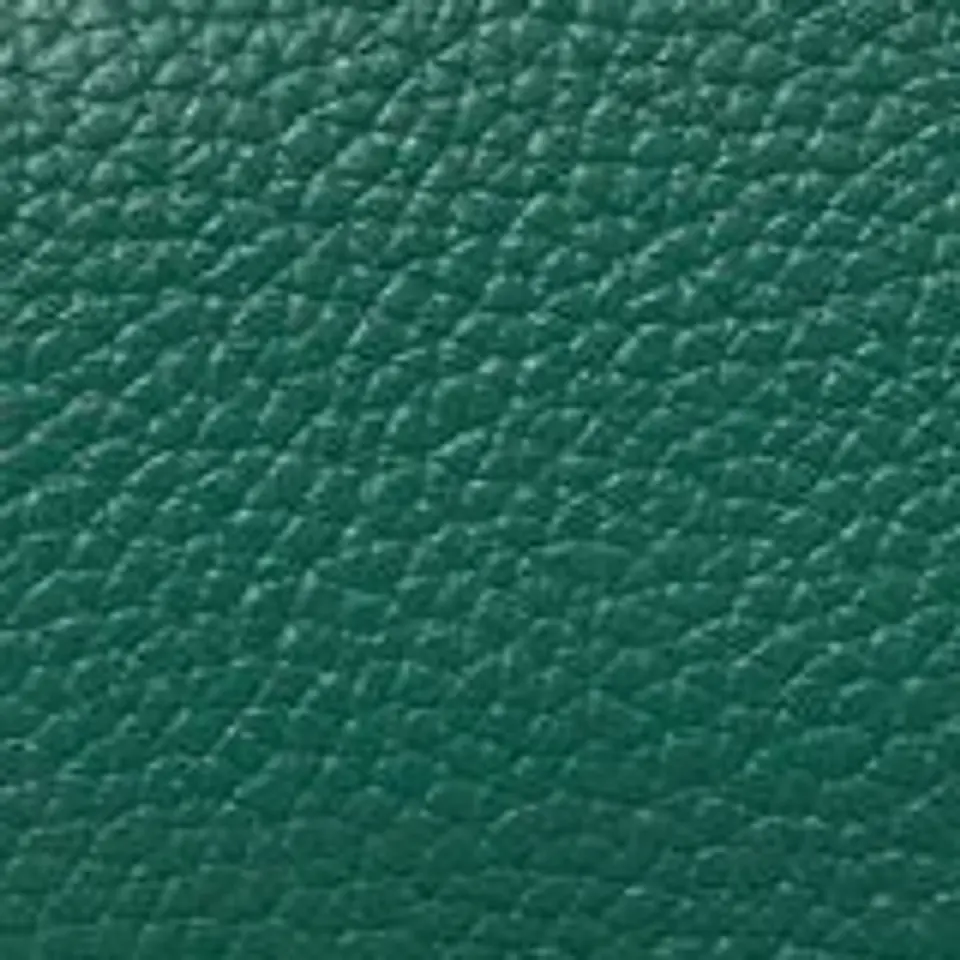 CORREA 2.5CM (2) 36