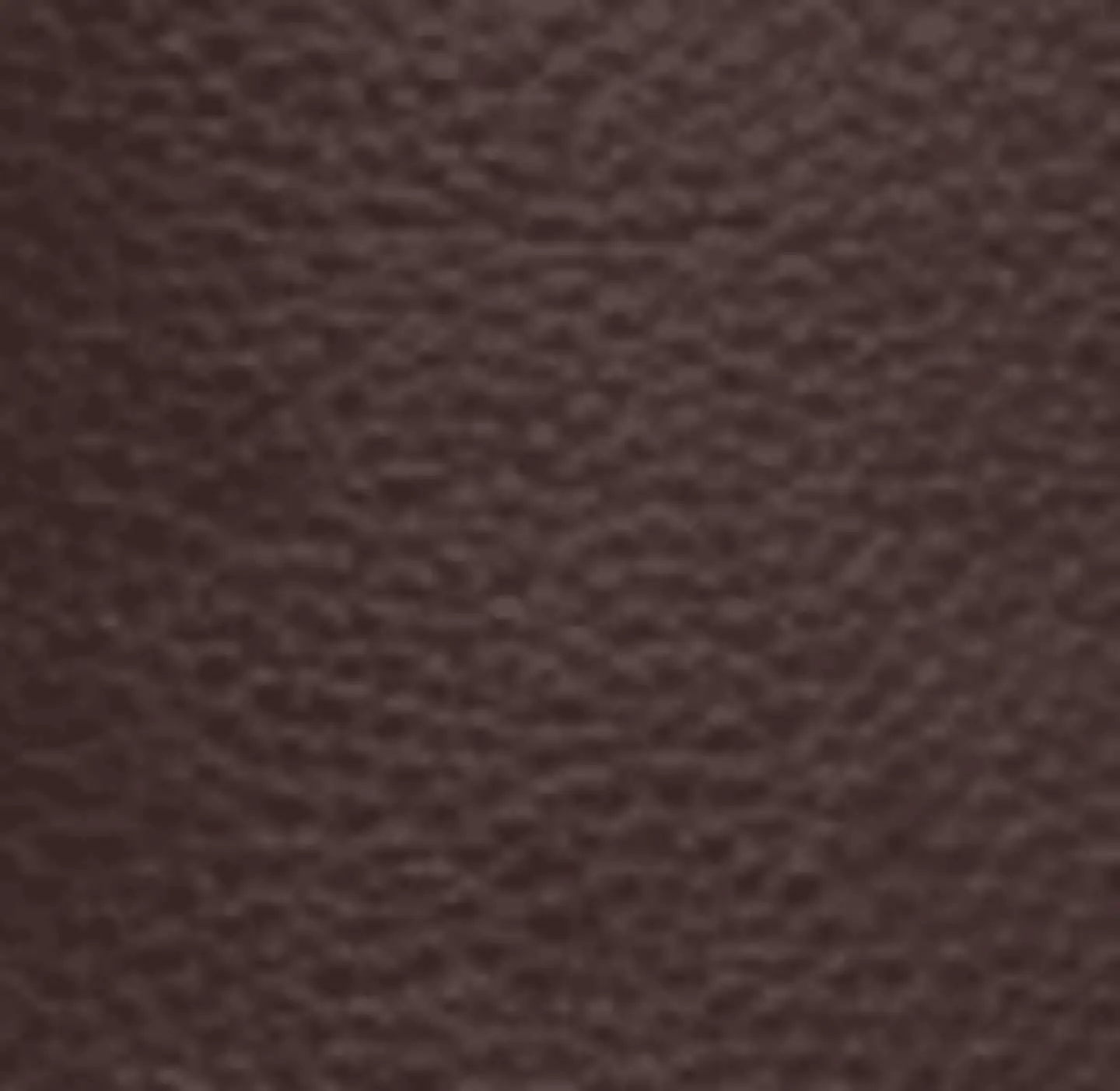 CORREA 2.5CM (2) 50