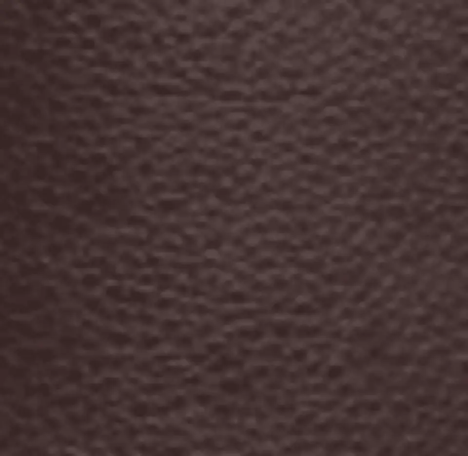 CORREA 2.5CM (2) 50