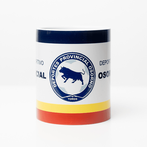 Tazón Clásico Provincial Osorno