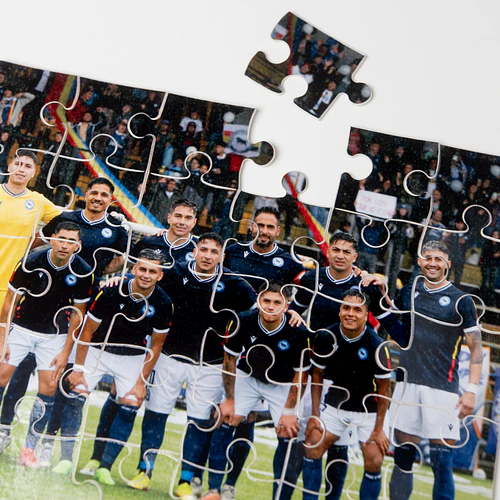 Puzzle Plantel 2025 1