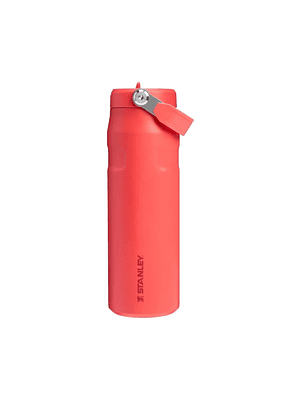 AEROLIGHT FLIP STRAW HOT CORAL 710 ML