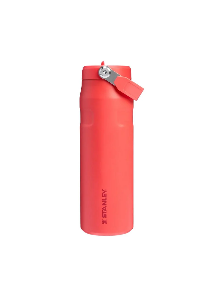 AEROLIGHT FLIP STRAW HOT CORAL 710 ML 1