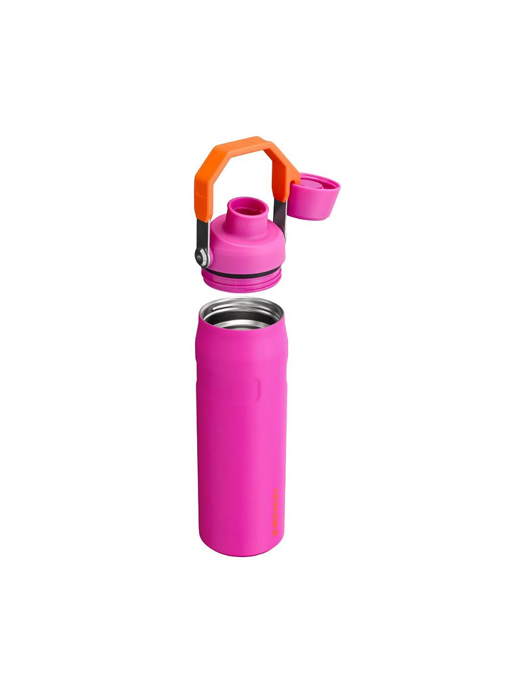 BOTELLA AEROLIGHT VIVID VIOLET 710 ML 3