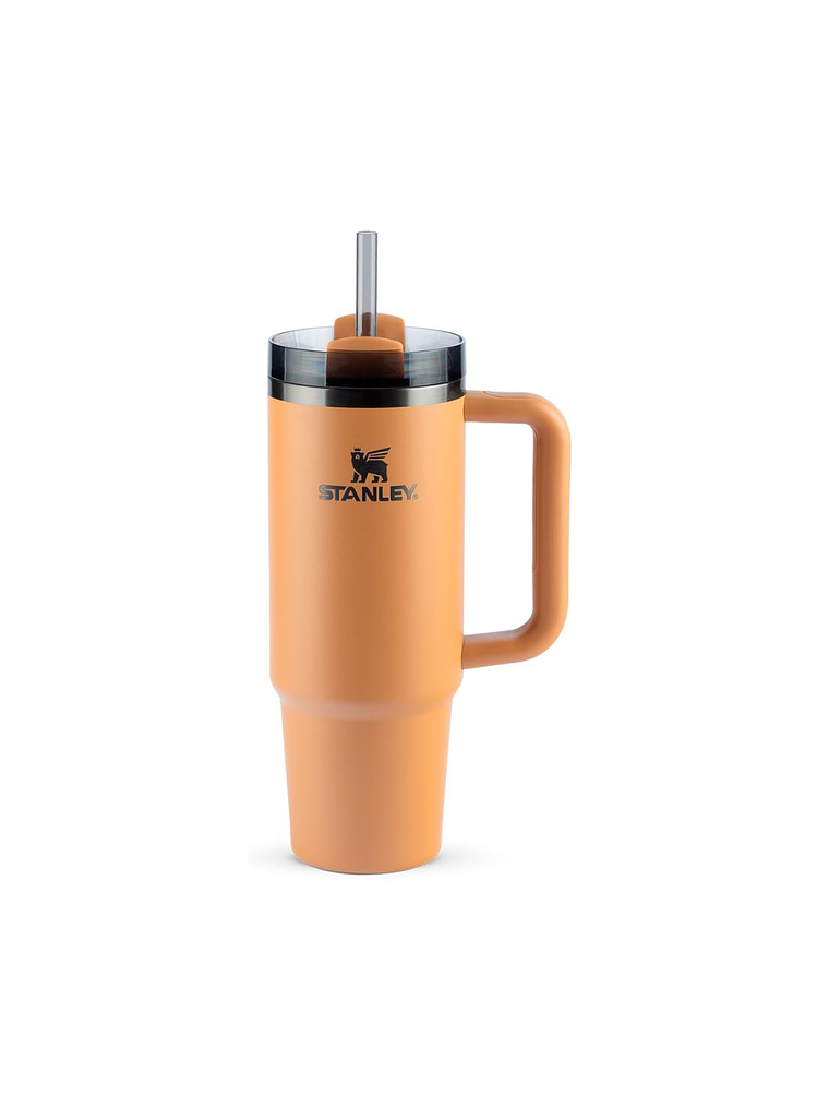 QUENCHER 887 ML CAMEL 1