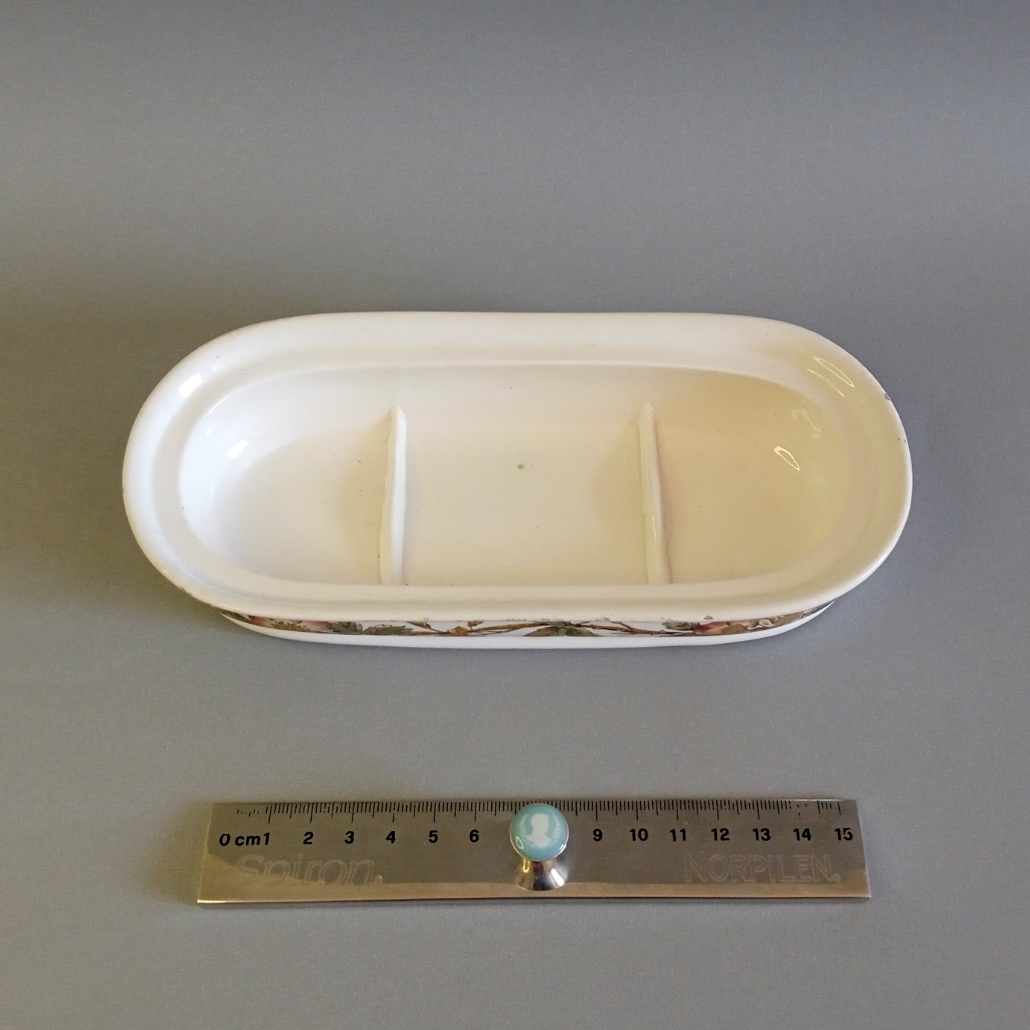 Peinetera victoriana - Thomas G. Booth 1880 6