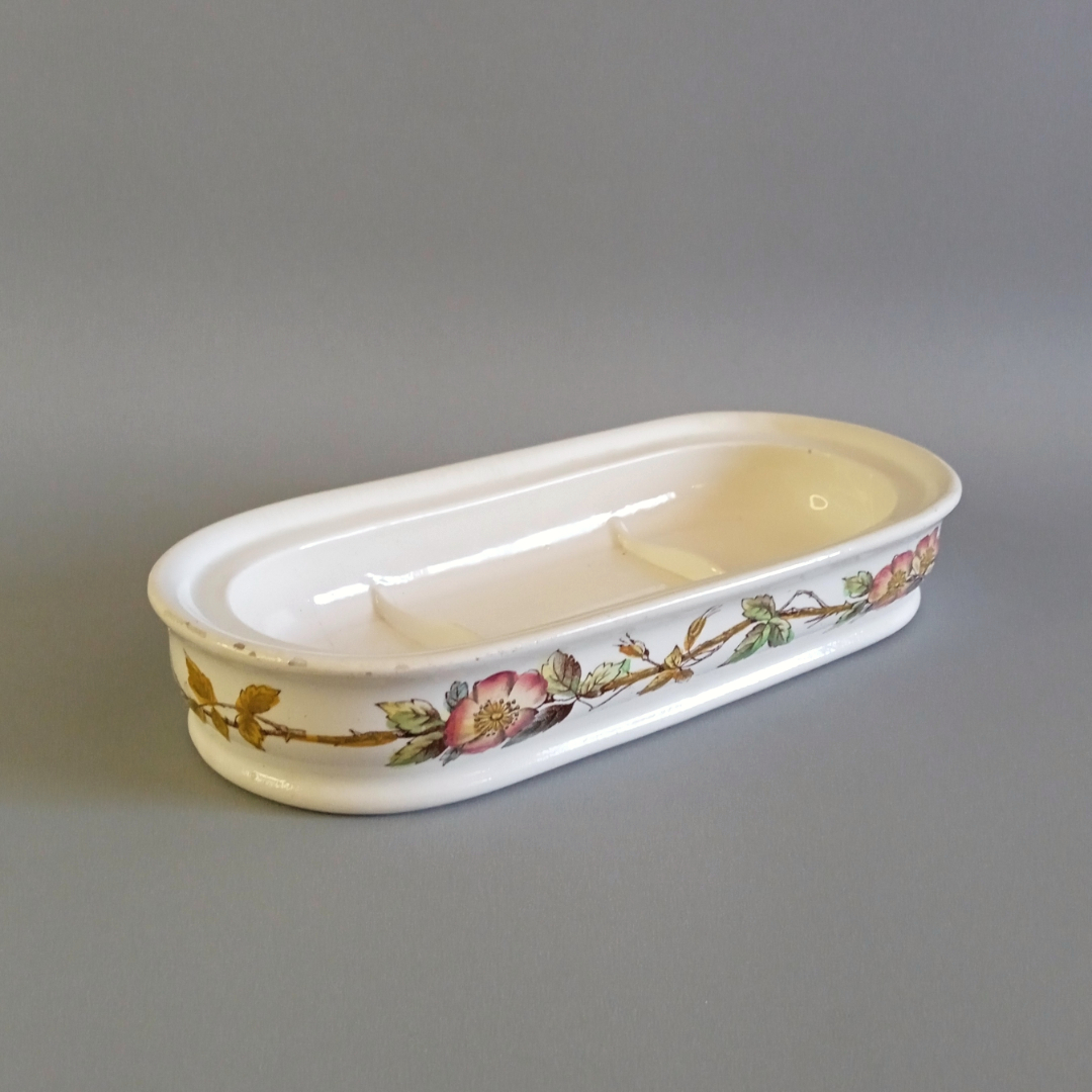 Peinetera victoriana - Thomas G. Booth 1880 4