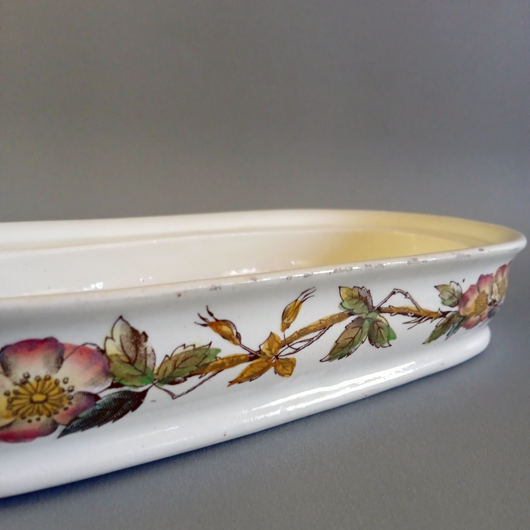 Peinetera victoriana - Thomas G. Booth 1880 5