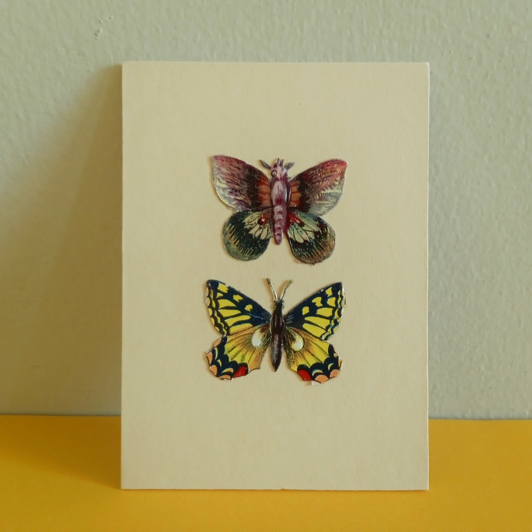 Set de 6 cromos vintage de mariposas, estilo victoriano - mediados siglo XX 4