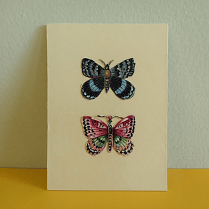 Set de 6 cromos vintage de mariposas, estilo victoriano - mediados siglo XX