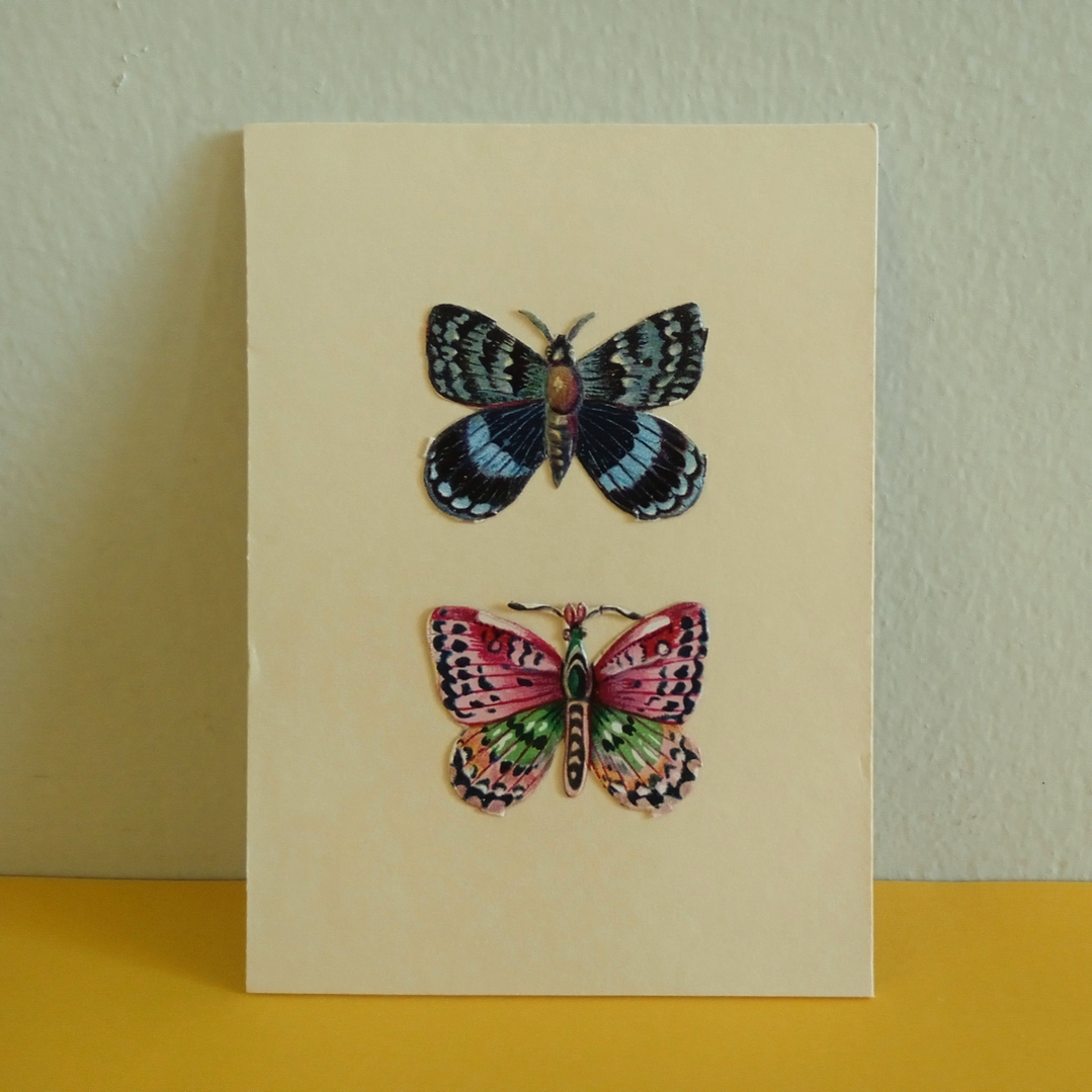 Set de 6 cromos vintage de mariposas, estilo victoriano - mediados siglo XX 2