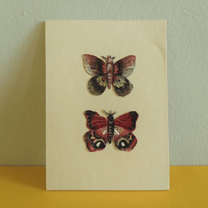 Set de 6 cromos vintage de mariposas, estilo victoriano - mediados siglo XX 5
