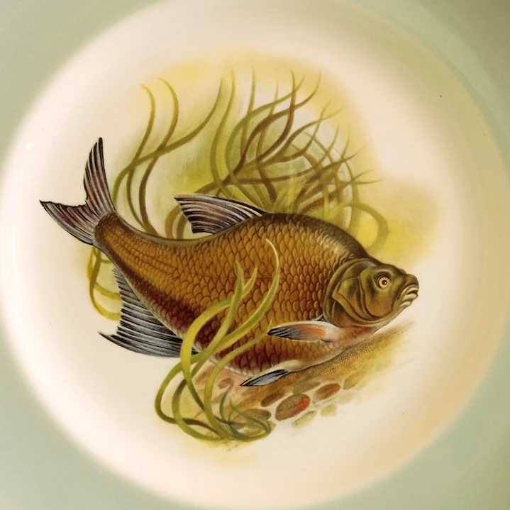Par de platos decorativos europeos vintage · motivo de peces 5