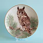 Plato decorativo Limoges Haviland “Long-eared Owl” • Francia 1984 - Miniatura 1