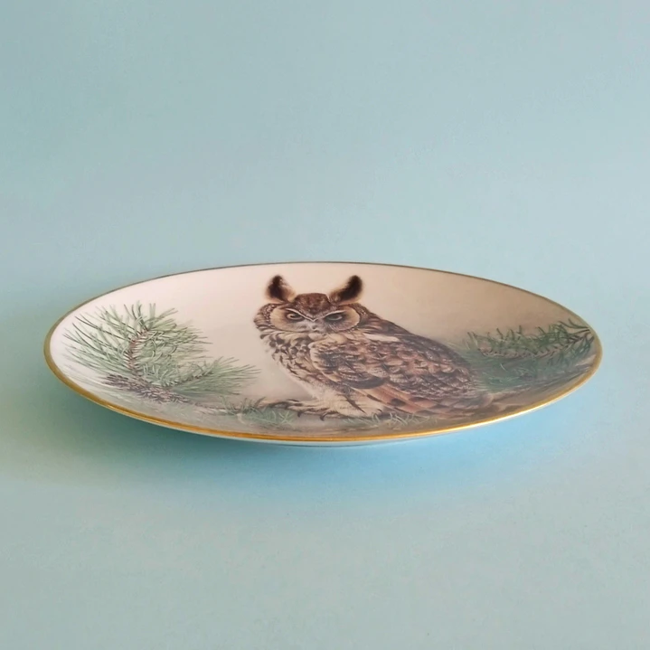 Plato decorativo Limoges Haviland “Long-eared Owl” • Francia 1984 5
