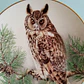 Plato decorativo Limoges Haviland “Long-eared Owl” • Francia 1984 - Miniatura 2