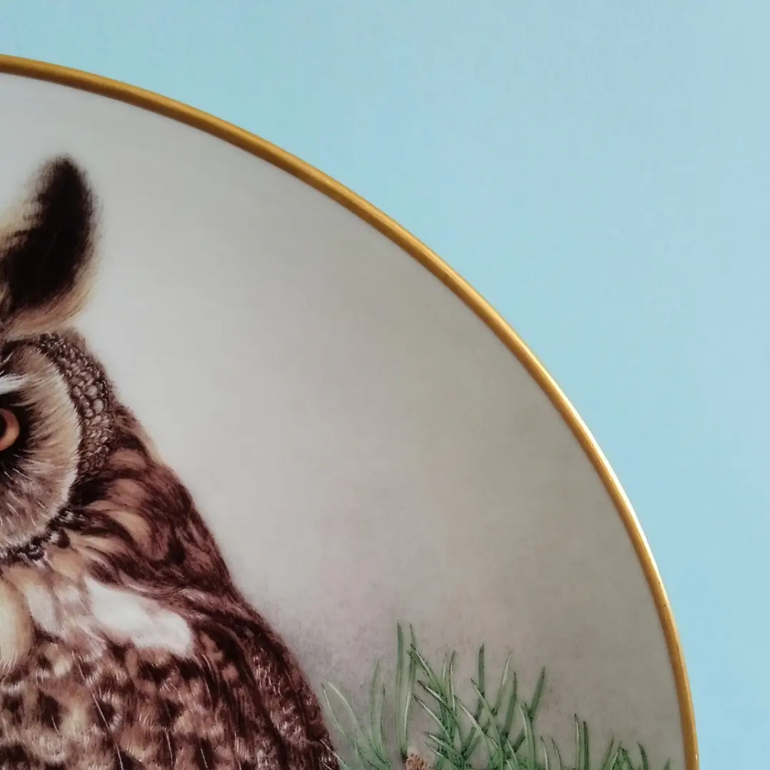 Plato decorativo Limoges Haviland “Long-eared Owl” • Francia 1984 4