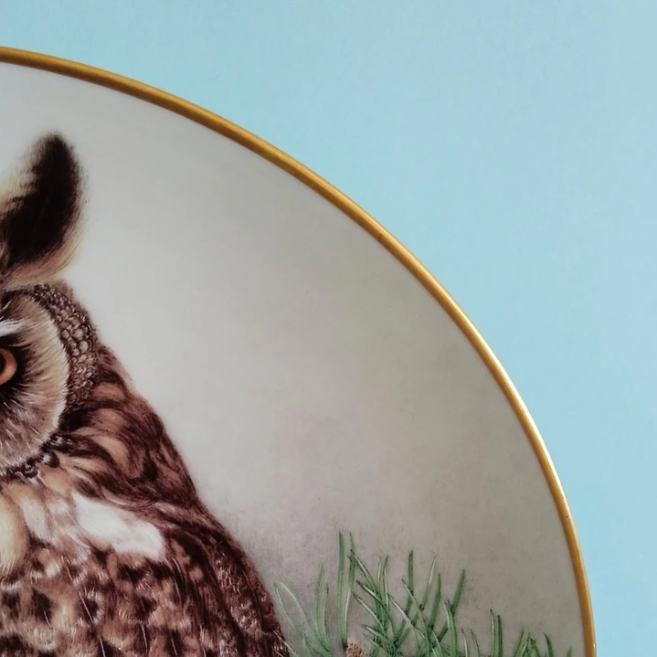 Plato decorativo Limoges Haviland “Long-eared Owl” • Francia 1984 4