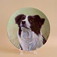 Plato decorativo de porcelana Royal Worcester • 