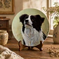 Plato decorativo de porcelana Royal Worcester • 