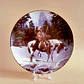 Platos decorativos The Last Warriors • The Hamilton Collection, 1994 - Miniatura 2