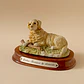 Figura Golden Retriever por The Leonardo Collection - Miniatura 1