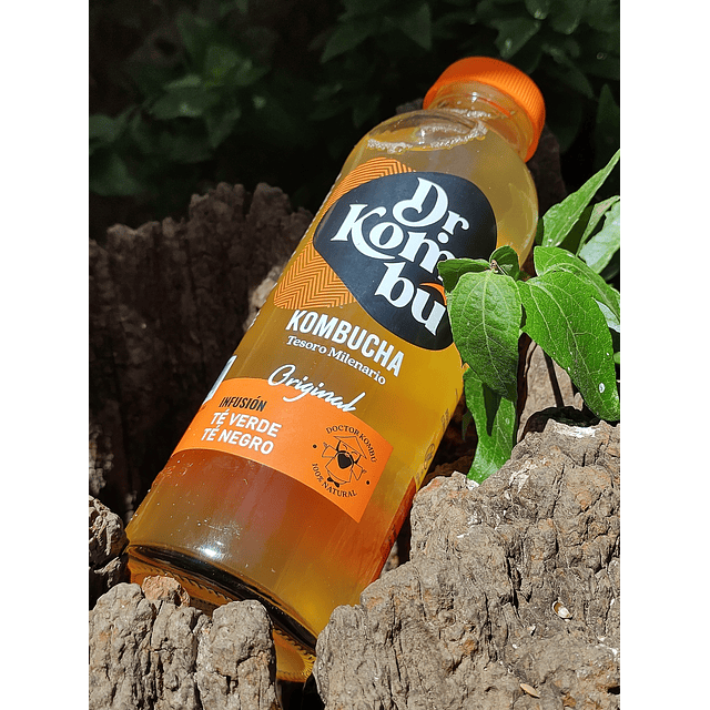 Kombucha Original Dr Kombu 475cc