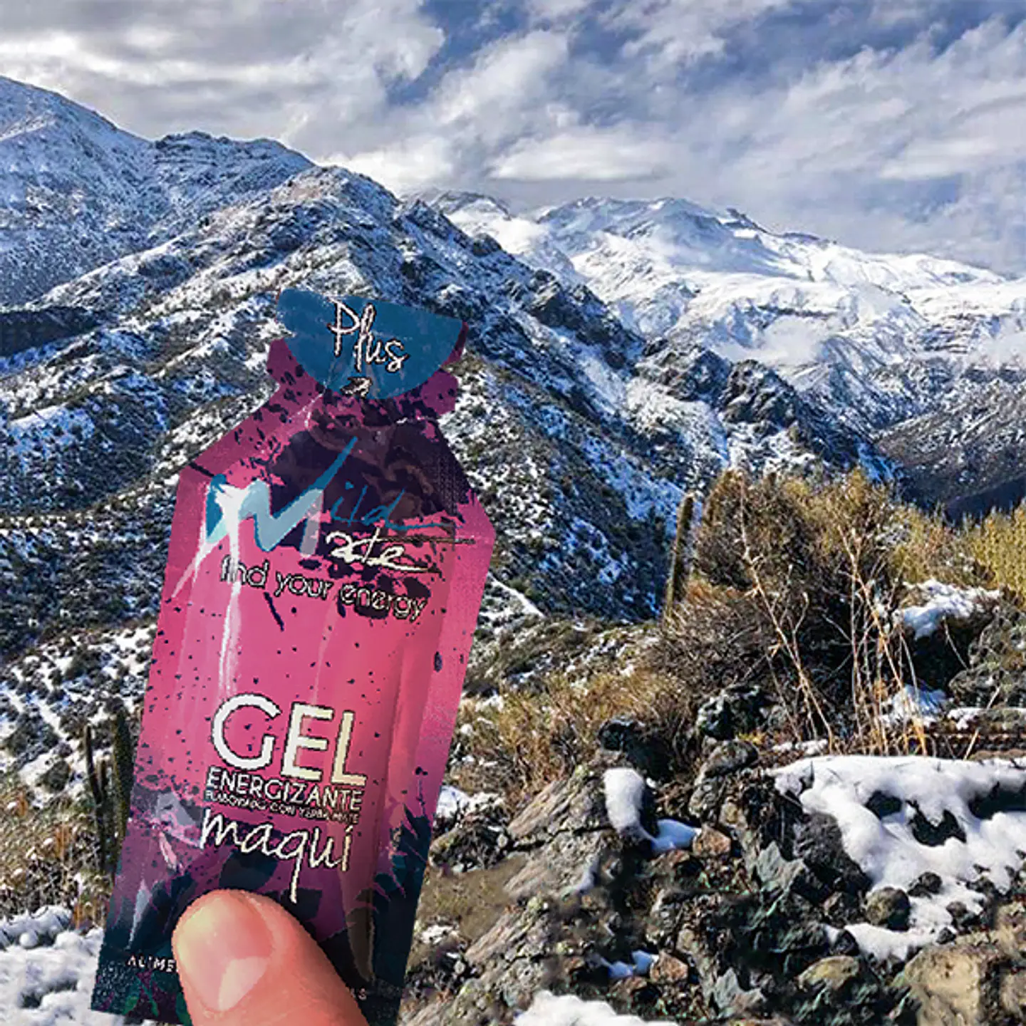 Gel Energético Maqui Plus 17g 1