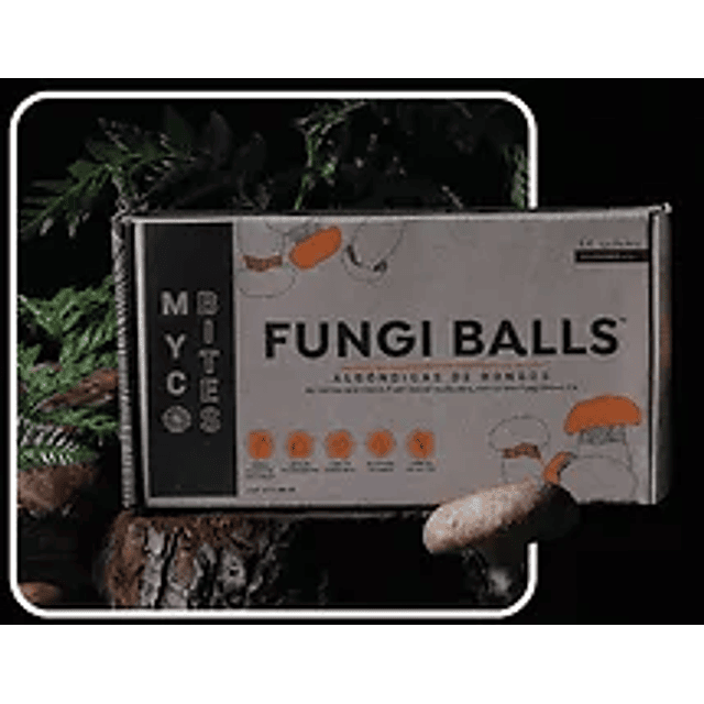 Fungi Balls Albondigas de Hongos 15 un