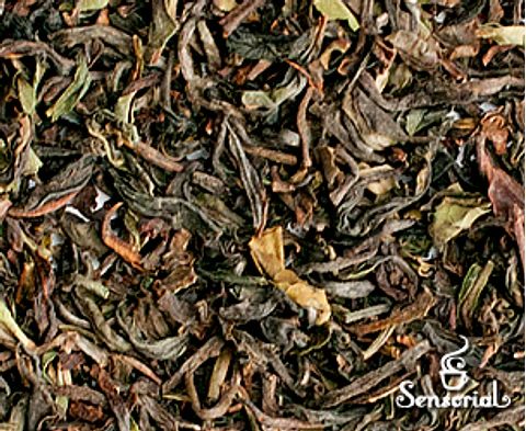 Darjeeling - 50g / 100g