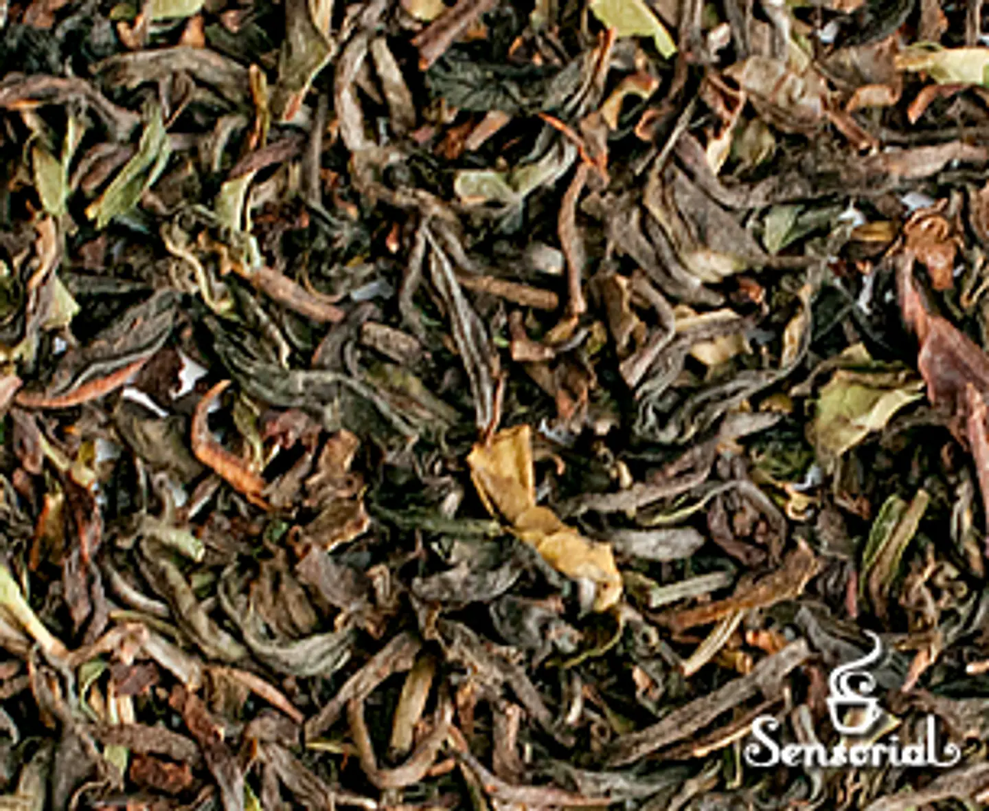 Darjeeling - 50g / 100g 1