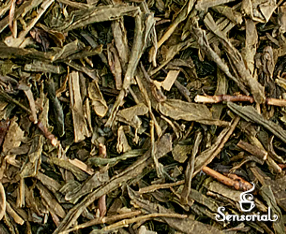 Té Verde Sencha - 50g / 100g 1