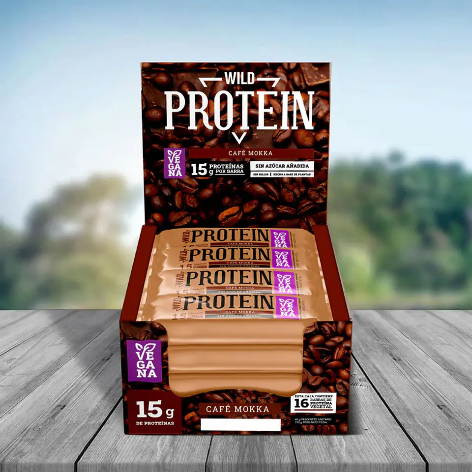 Wild Protein Mokka 16 un 1