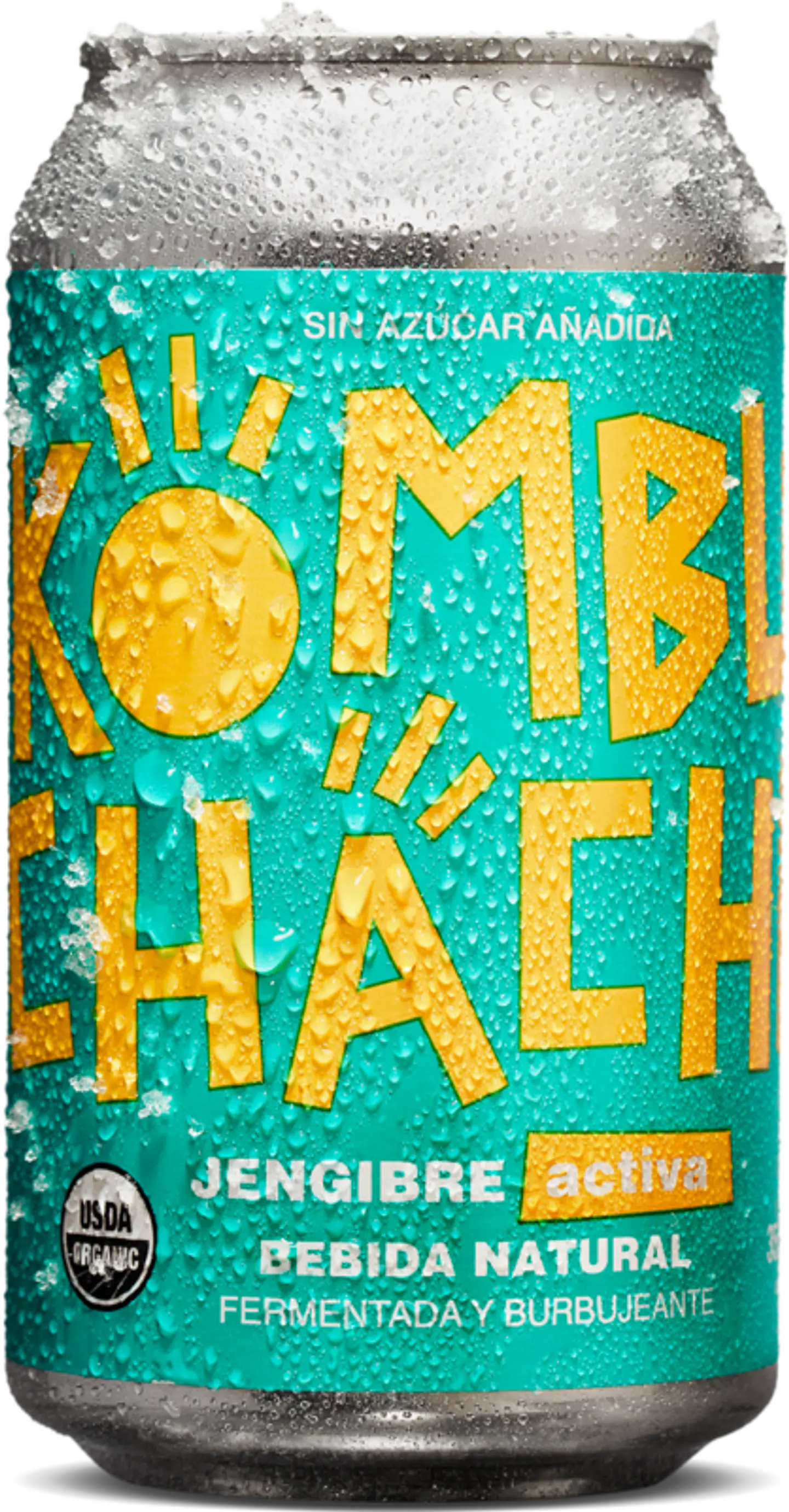 Kombuchacha Jengibre 350 cc 1